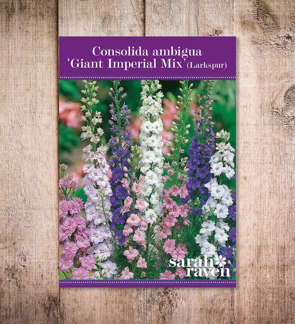 Sarah Raven Consolida Giant Imperial Blumensamen 300 Schnittblume