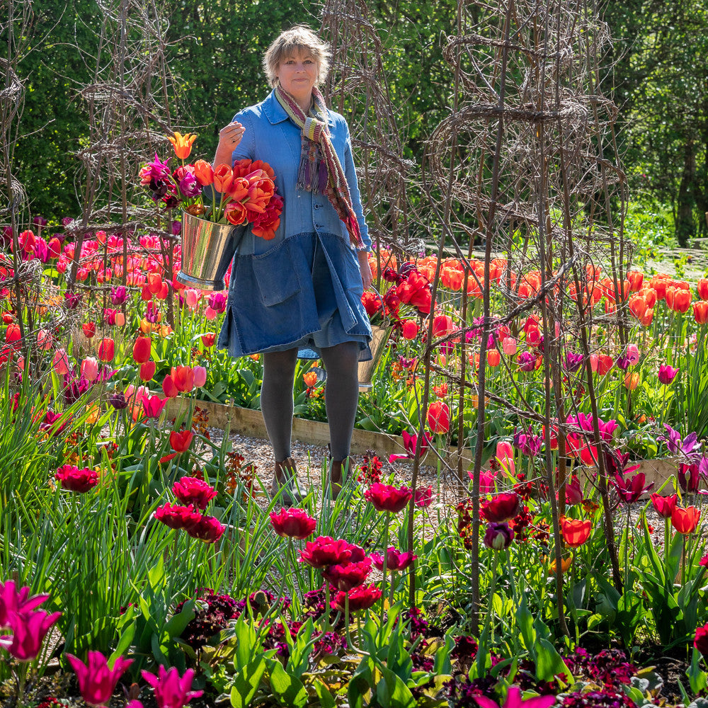 Sarah Raven Bulbs Bold Brilliant Tulpenzwiebeln 90 Stk Mix