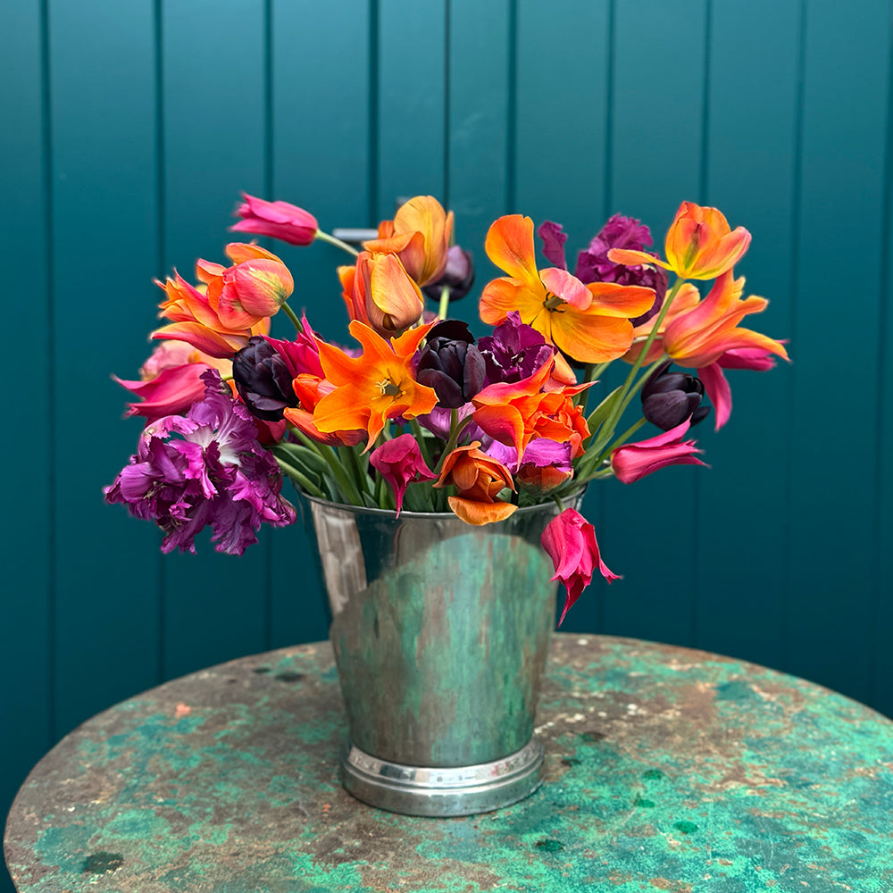 Sarah Raven Bulbs Arit Anderson Tulip Collection 40 Blumenzwiebeln
