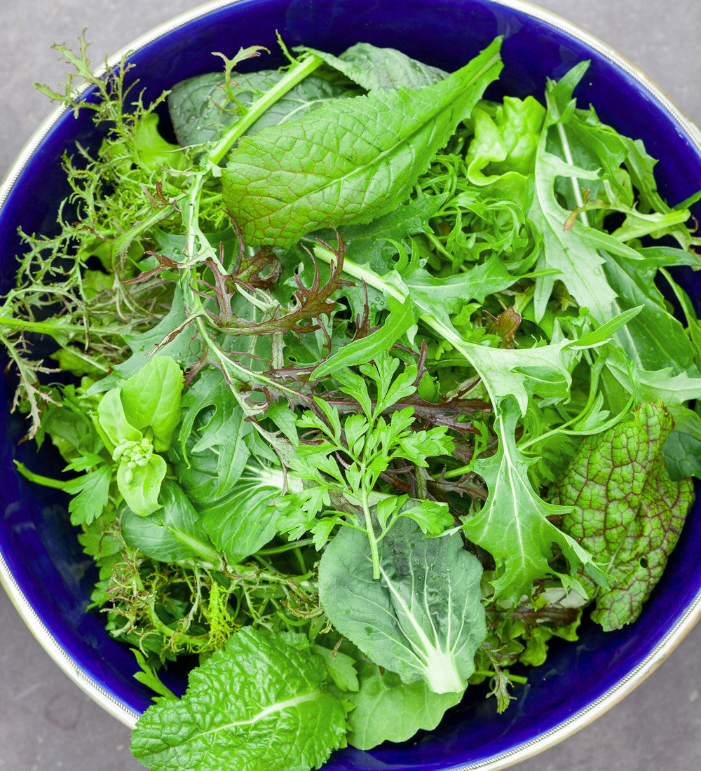 Sarah Raven Seeds Salad Leaf Salatsamen 500 Samen hitzetolerant