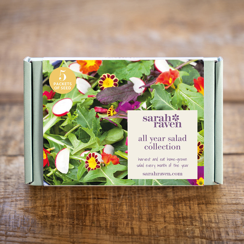 Sarah Raven Seeds Salat Samen Geschenkbox 5 Tüten ganzjährig
