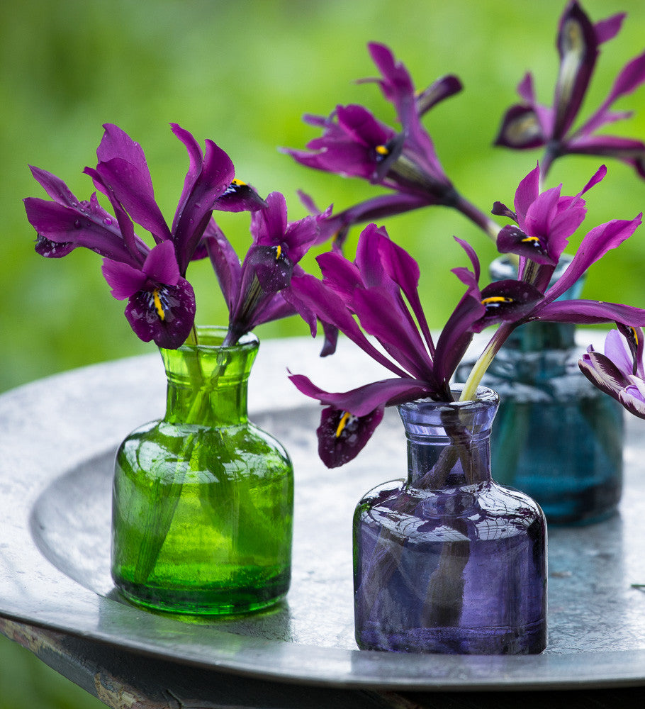 Sarah Raven Ink Bottle Vases Mini-Vasen 4er Set 10 cm bunt