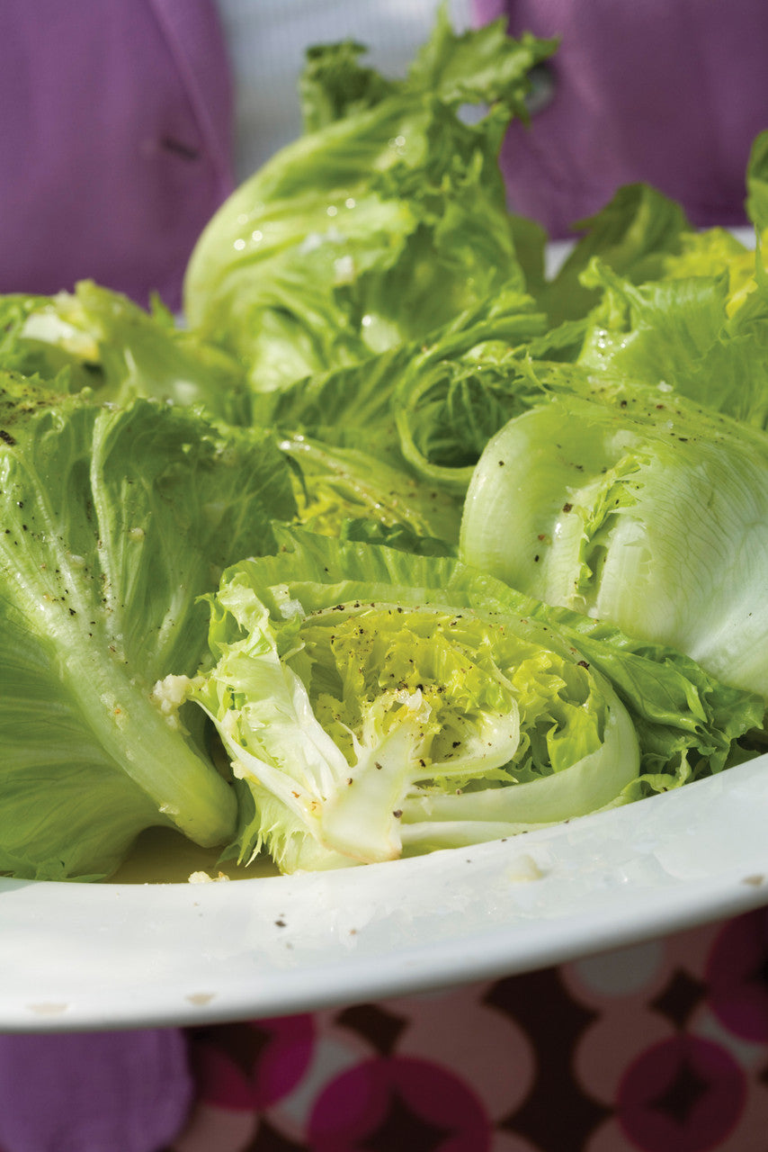Sarah Raven Seeds Salat Best Summer Mix Samen 1000 Samen Sommer