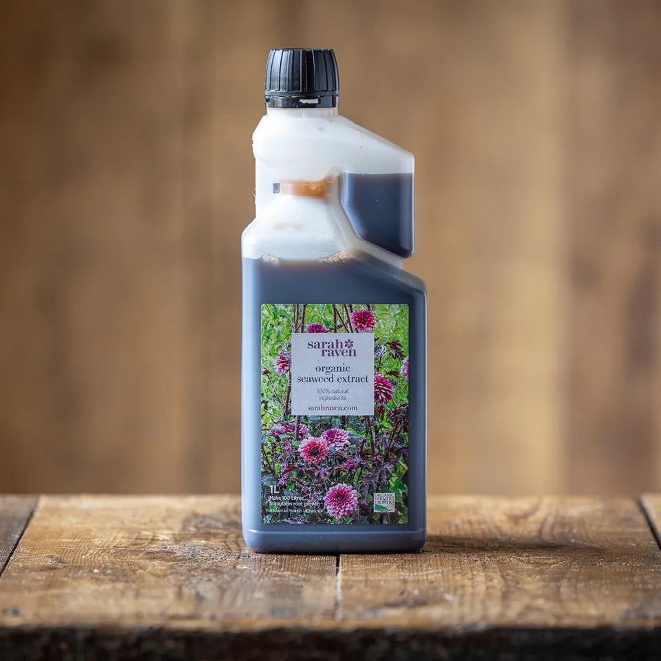 Sarah Raven Gardening Seaweed Extract Flüssigdünger 1L Algen natürlich