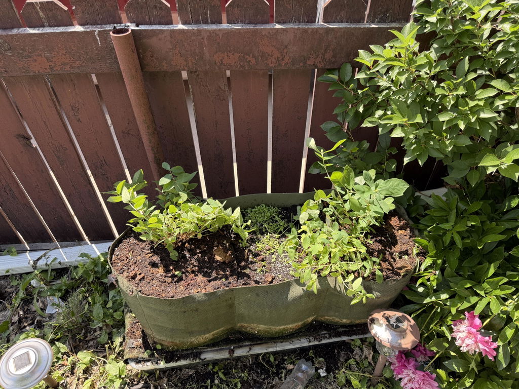 Smart Pot Raised Beds Pflanzsack Lil Shorty Hochbeet