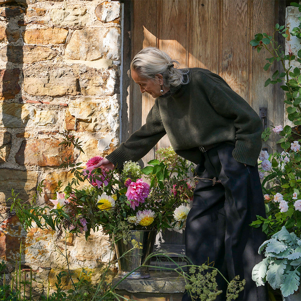 Sarah Raven Bulbs Lucinda Chambers Dahlia Collection Dahlienknollen 4 Knollen