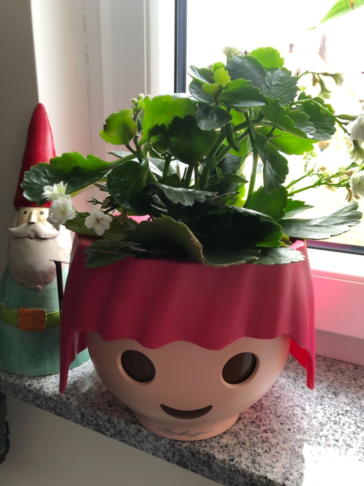 Lechuza OJO Blumentopf Ruby Pink Ø 21 cm mit Bewässerung
