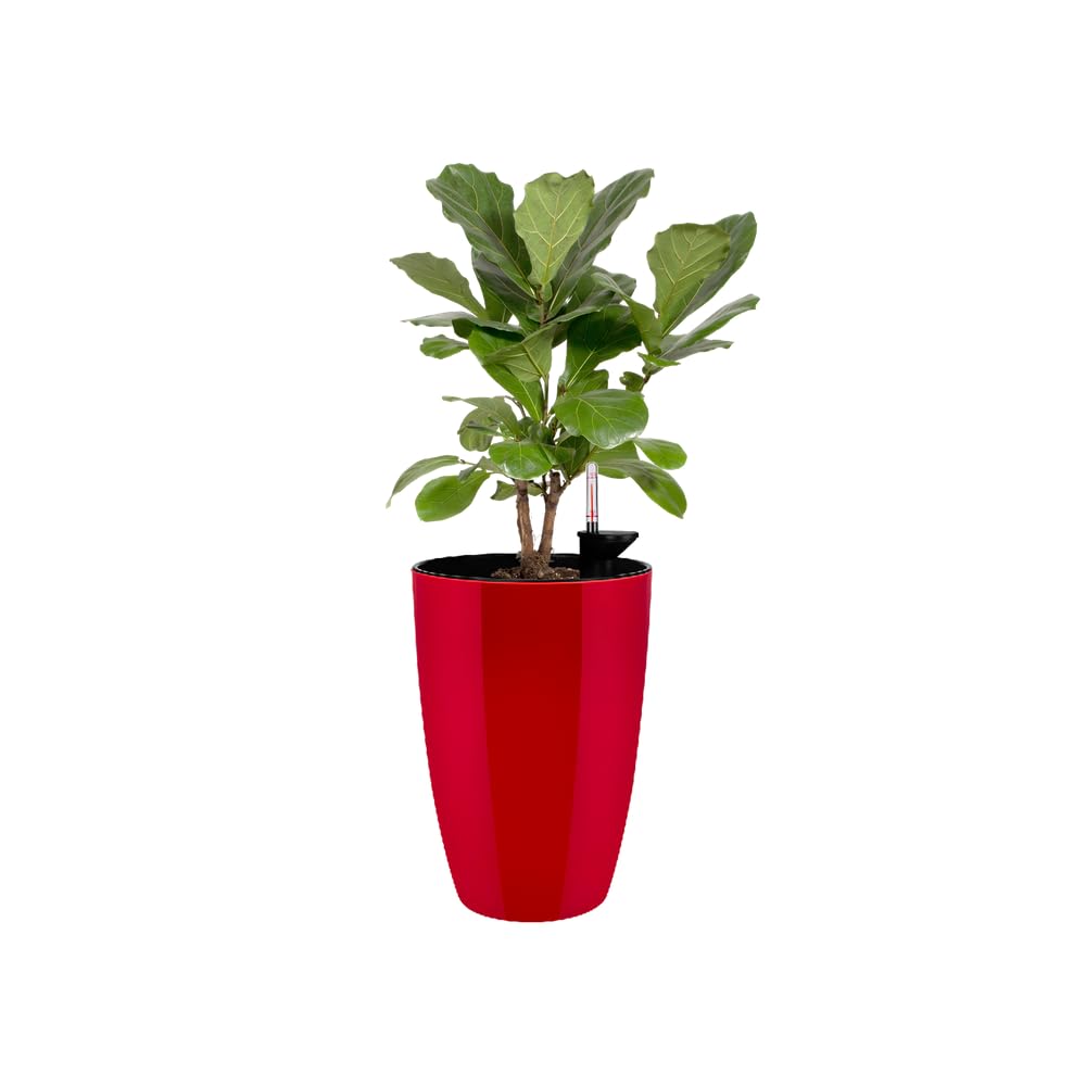 elho Brussels Diamond Rund Hoch 32 Blumentopf Lovely Rot Kunststoff