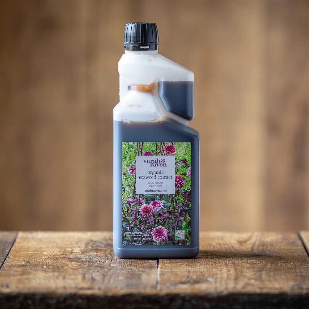 Sarah Raven Gardening Seaweed Extract Flüssigdünger 1L Algen natürlich
