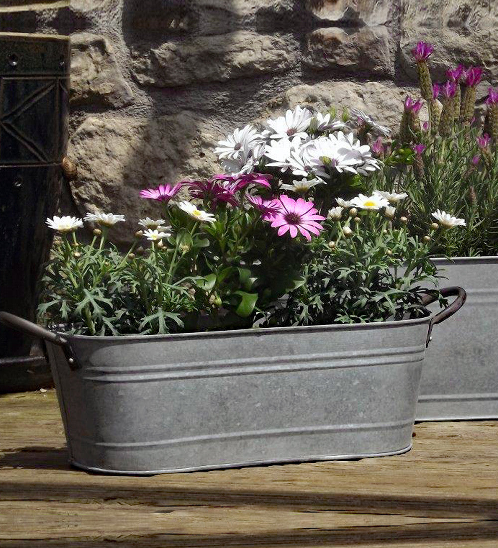 Sarah Raven Zinc Troughs Pflanzgefäß Zink 2er Set verzinkt