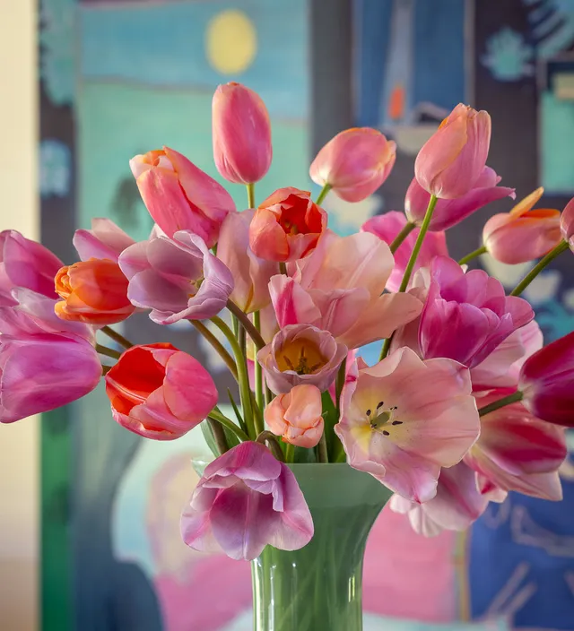 Sarah Raven Tom Hammick Tulpen 40 Zwiebeln Kollektion