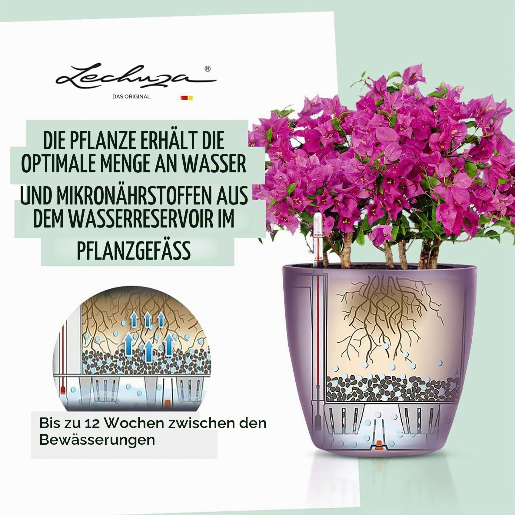 Lechuza Classico Color LS 21 Pflanztopf Sandbraun mit Bewässerung