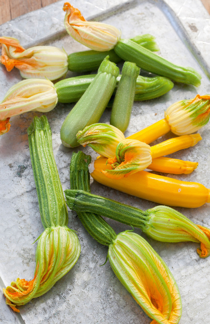 Sarah Raven Zucchini Collection Samen 3 Packungen bunt