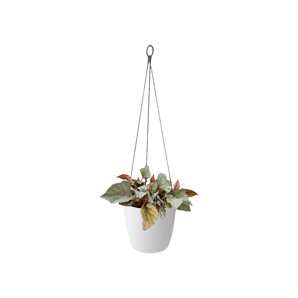 elho Brussels Hängeampel 18 Blumentopf weiss wasserdicht