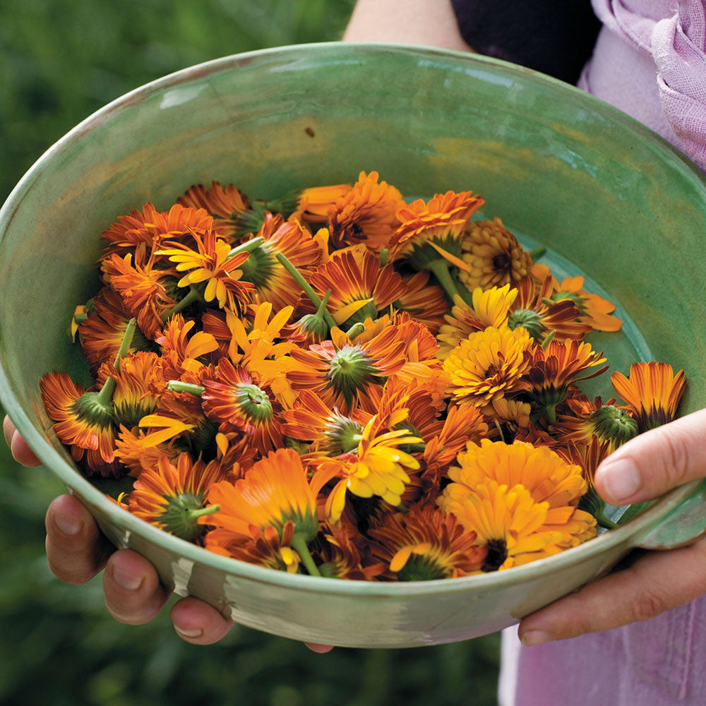 Sarah Raven Plants Calendula Indian Prince Samen 125 Samen