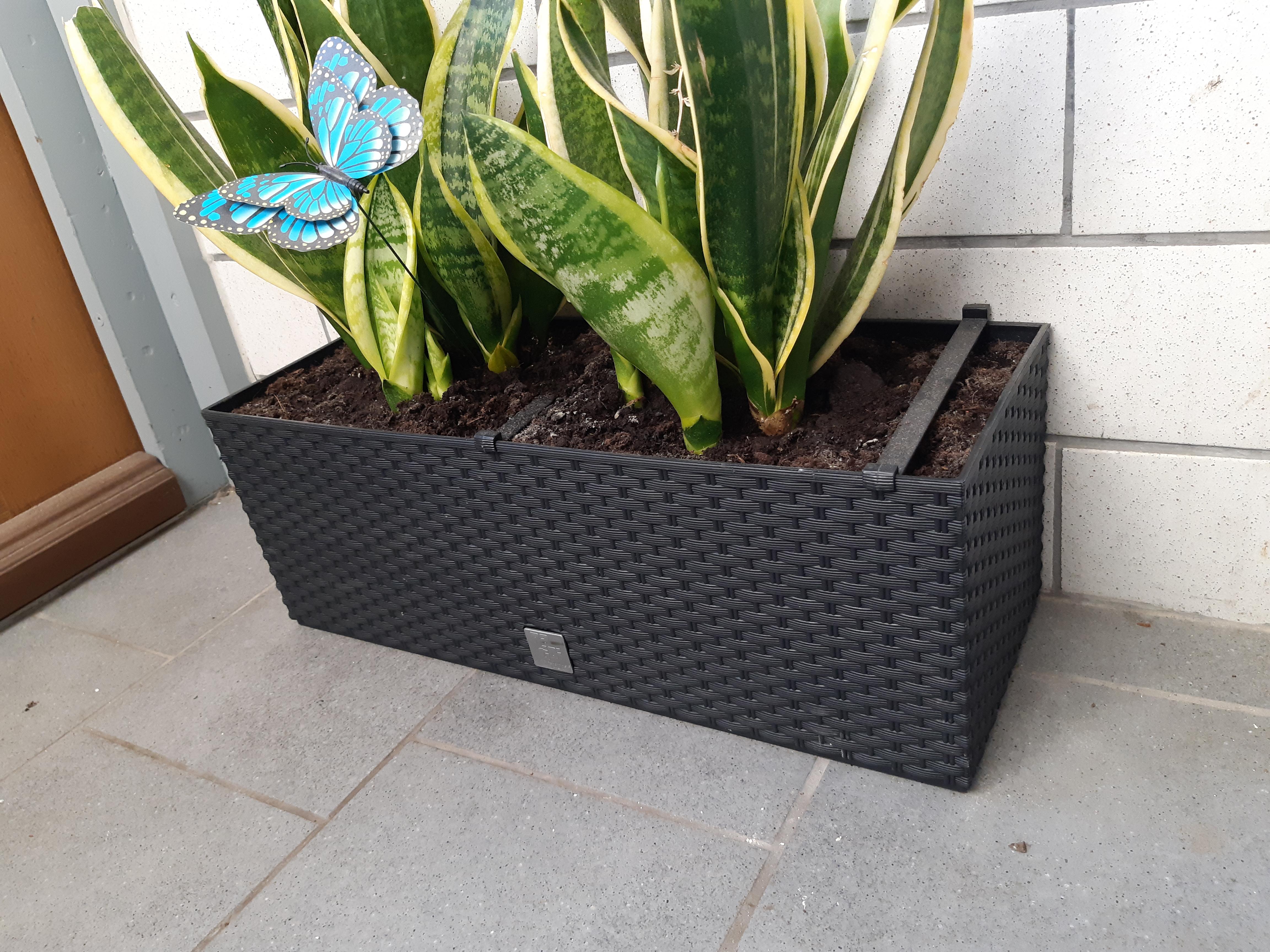 Prosperplast Rato Case Blumenkasten anthrazit 17L Bewässerung