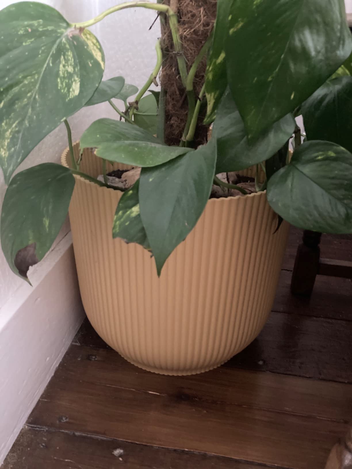elho Vibes Fold 22 cm Blumentopf Linen White für innen