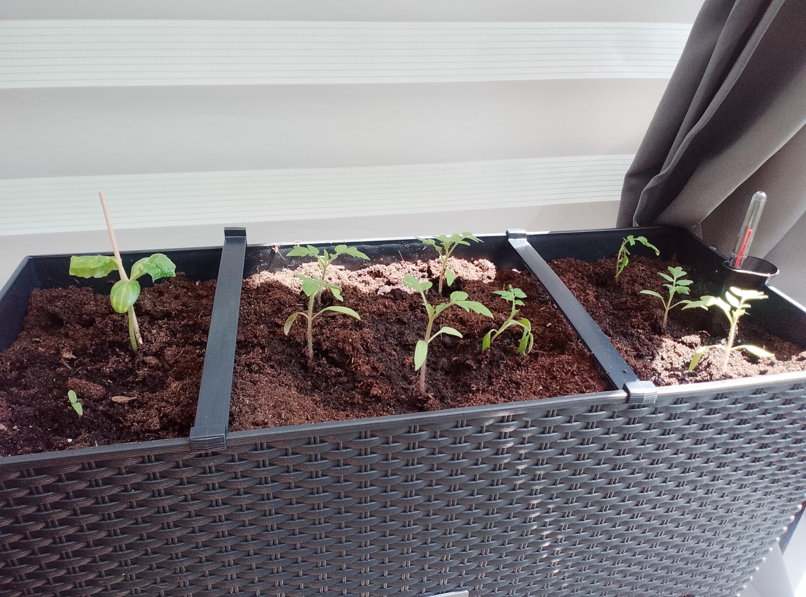 Prosperplast Rato Case High Blumenkasten schwarz 60cm Bewässerung