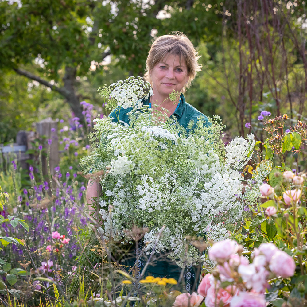 Sarah Raven Schnittblumen Kurs Rutland 13. Oktober Tagesticket