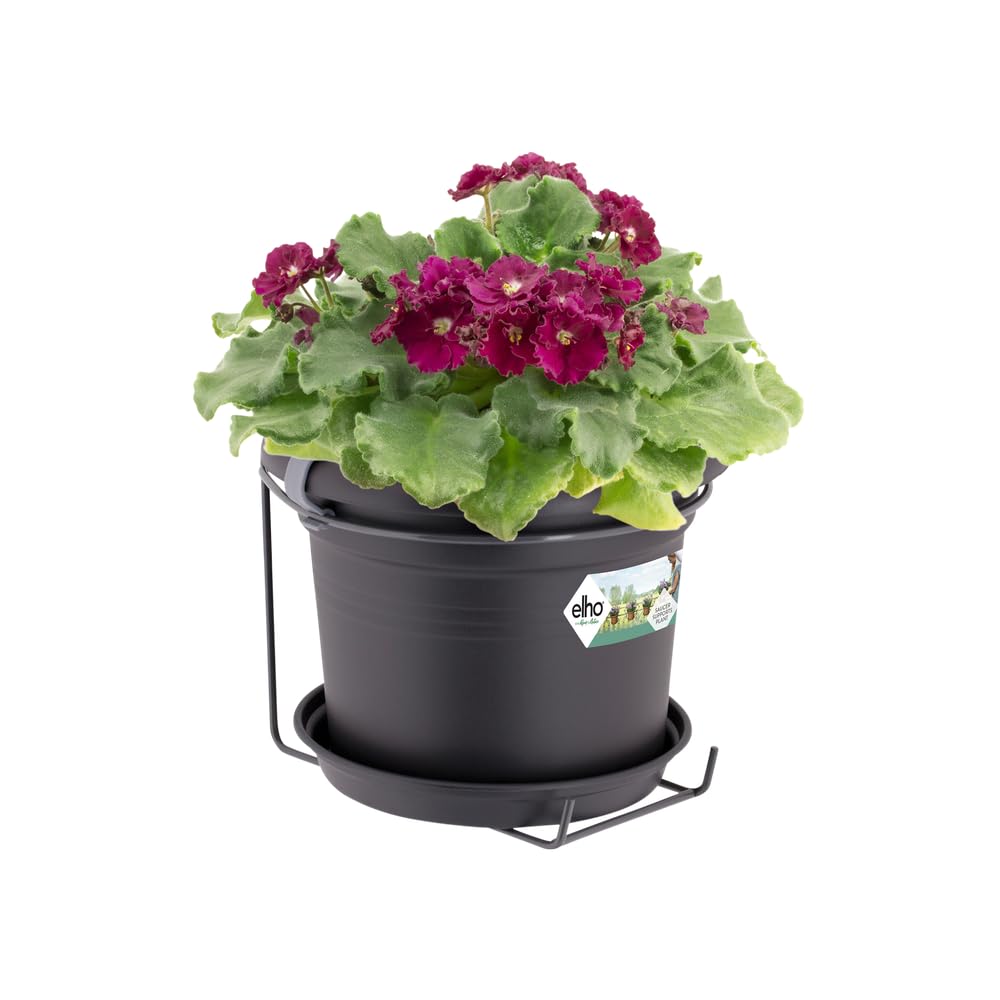 elho Green Basics Wandtopf Allin1 20 cm Lebhaft Schwarz