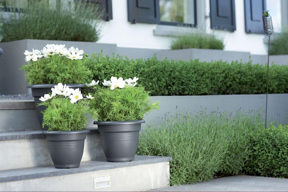 elho Green Basics Campana 30 Blumentopf Living Schwarz 30cm