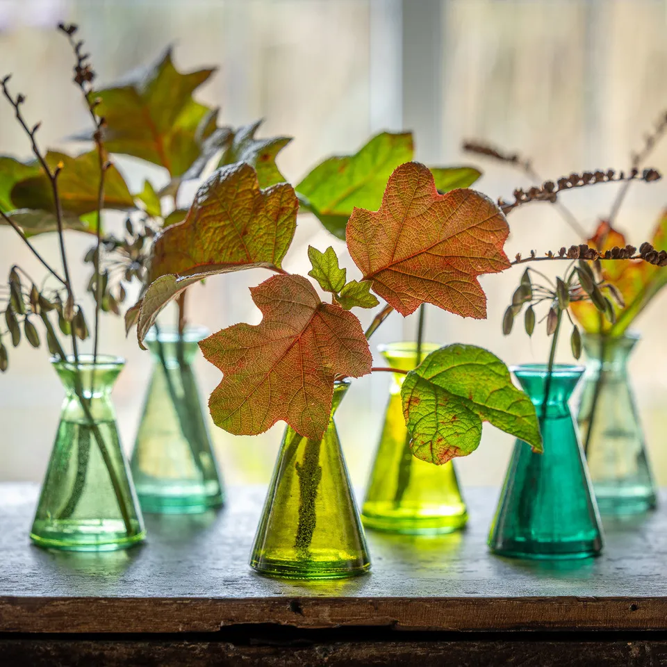 Sarah Raven Asolo Vasen Glas 6er Set Grün 11cm Recyclingglas