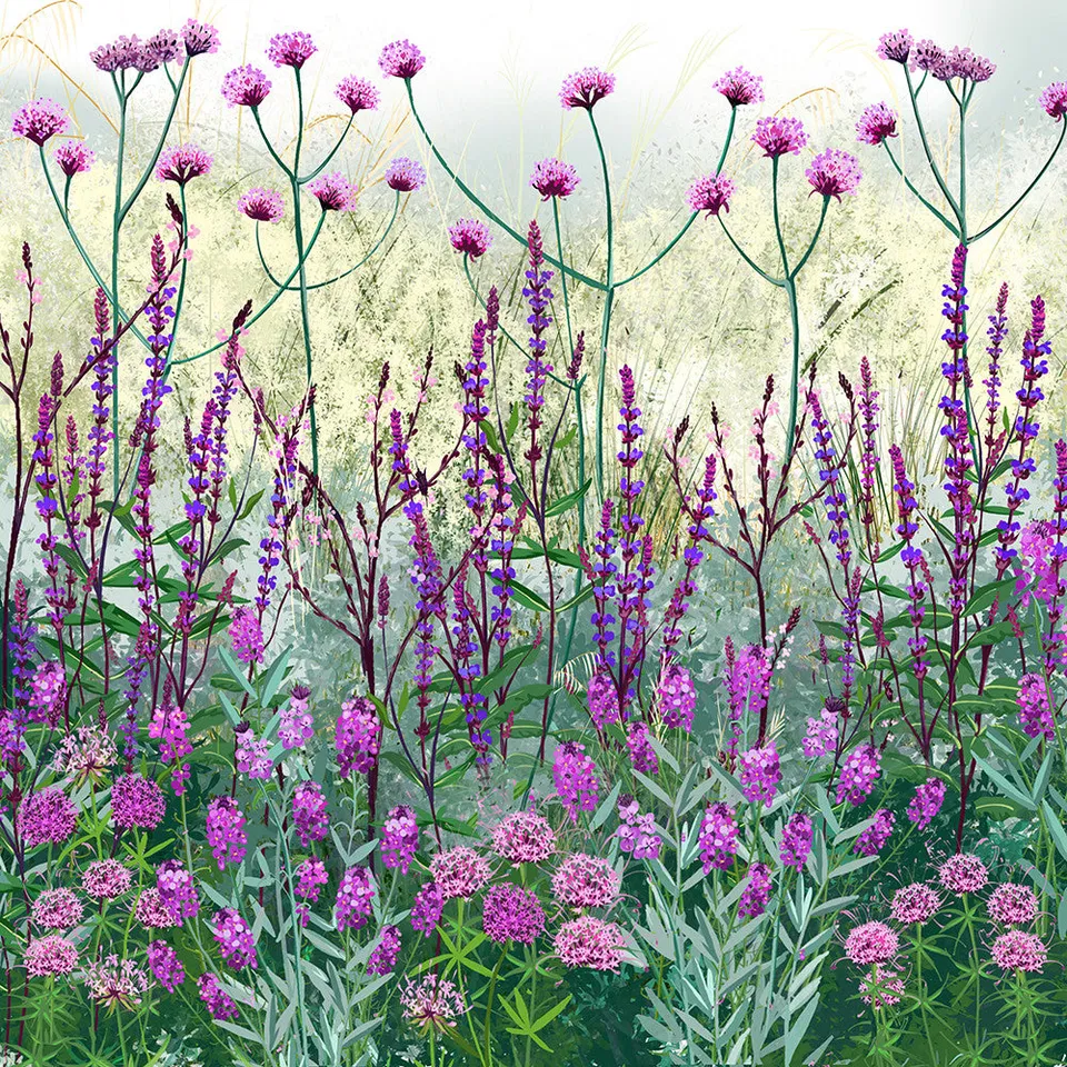 Sarah Raven Plants Chalky Soil Border Collection Staude 18x9cm lila