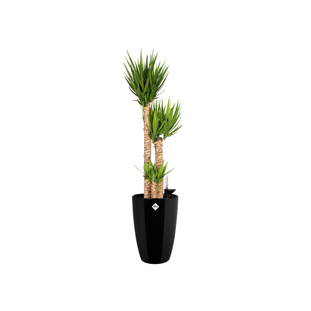 elho Brussels Diamond Blumentopf Hoch 27 Schwarz Metallic Ø27