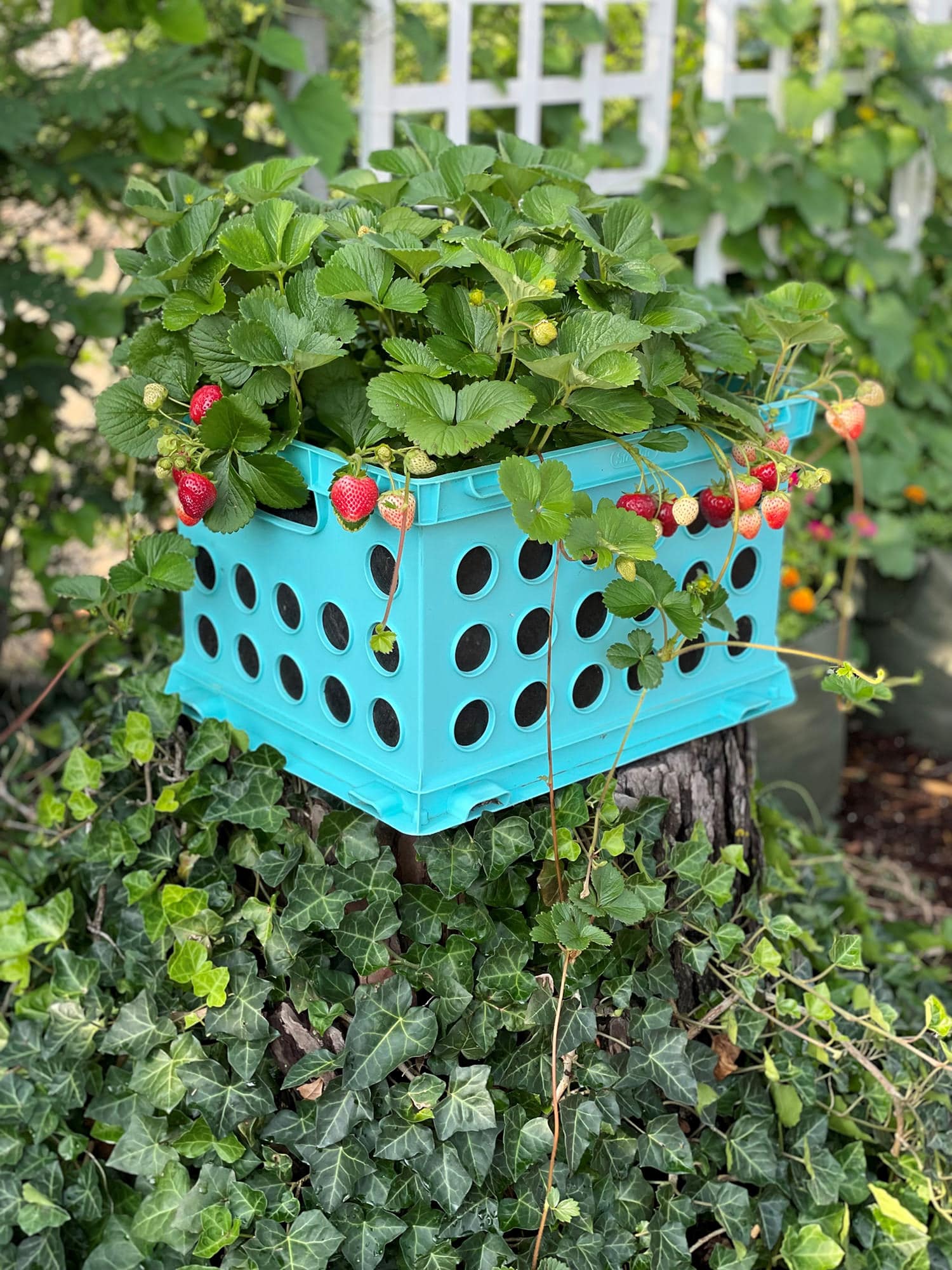 Smart Pot Milk Crate Liner Pflanzsack 30x30x30 cm