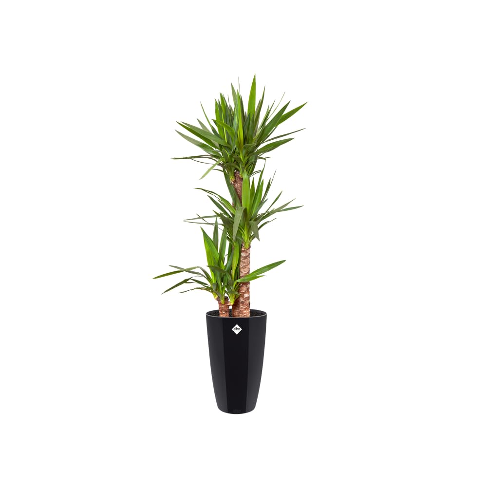 elho Brussels Diamond Blumentopf Hoch 27 Schwarz Metallic Ø27