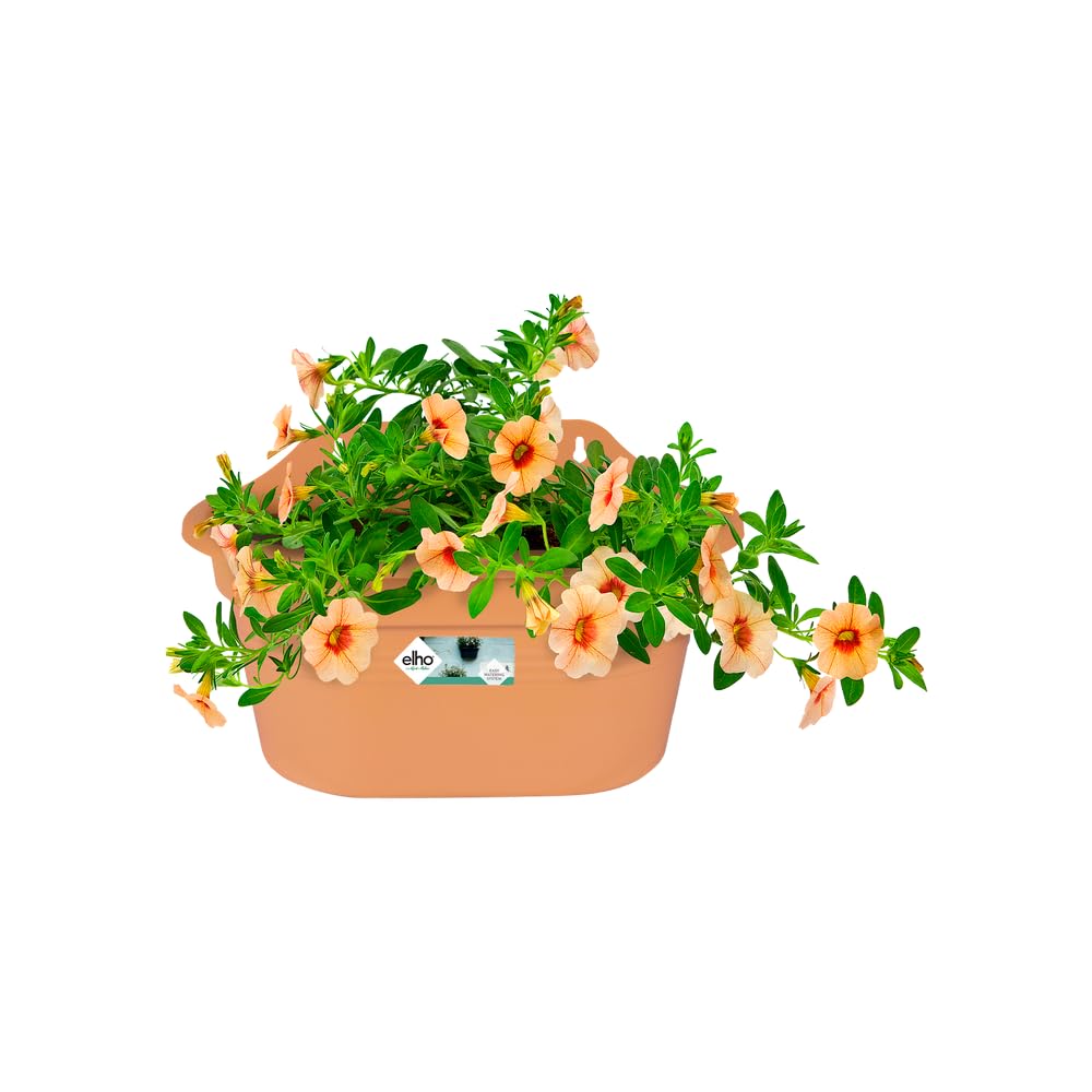 elho Green Basics Wandampel 30 Übertopf Mild Terra frostsicher