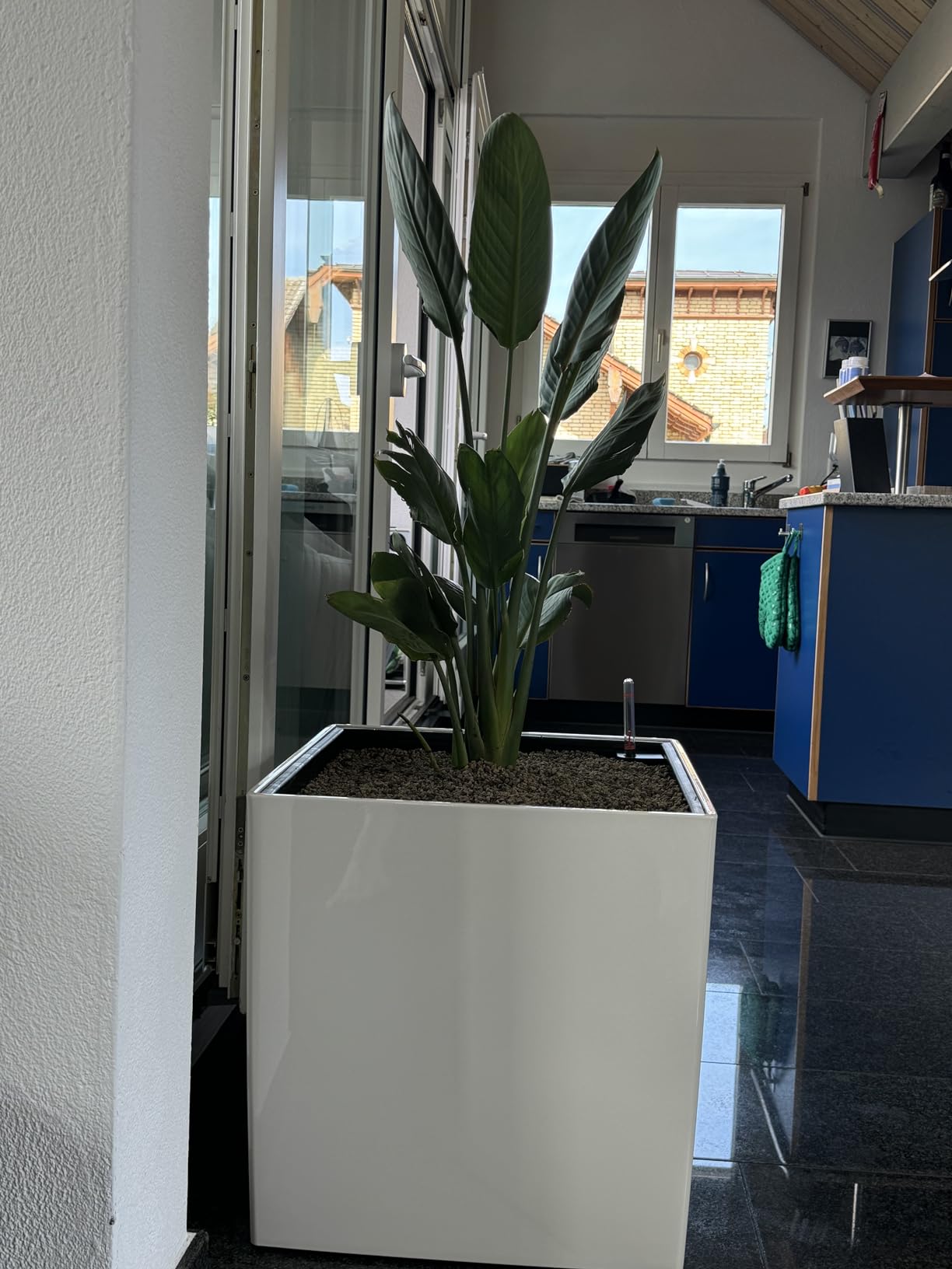 Lechuza Cube Premium 40 Pflanzwürfel Weiß Hochglanz 40cm Bewässerung
