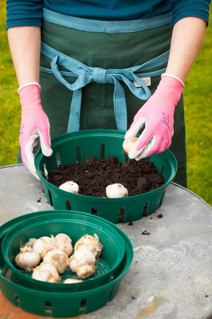 Sarah Raven Favourite Gloves Gartenhandschuhe M 2 Paar Grip