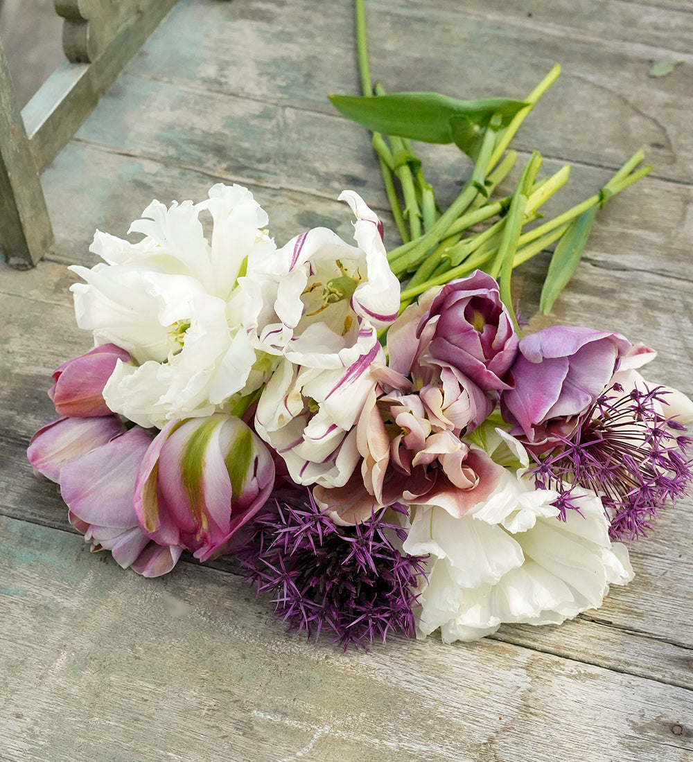 Sarah Raven Savannah Miller Blumenzwiebeln 45St rosa Tulpen Mix