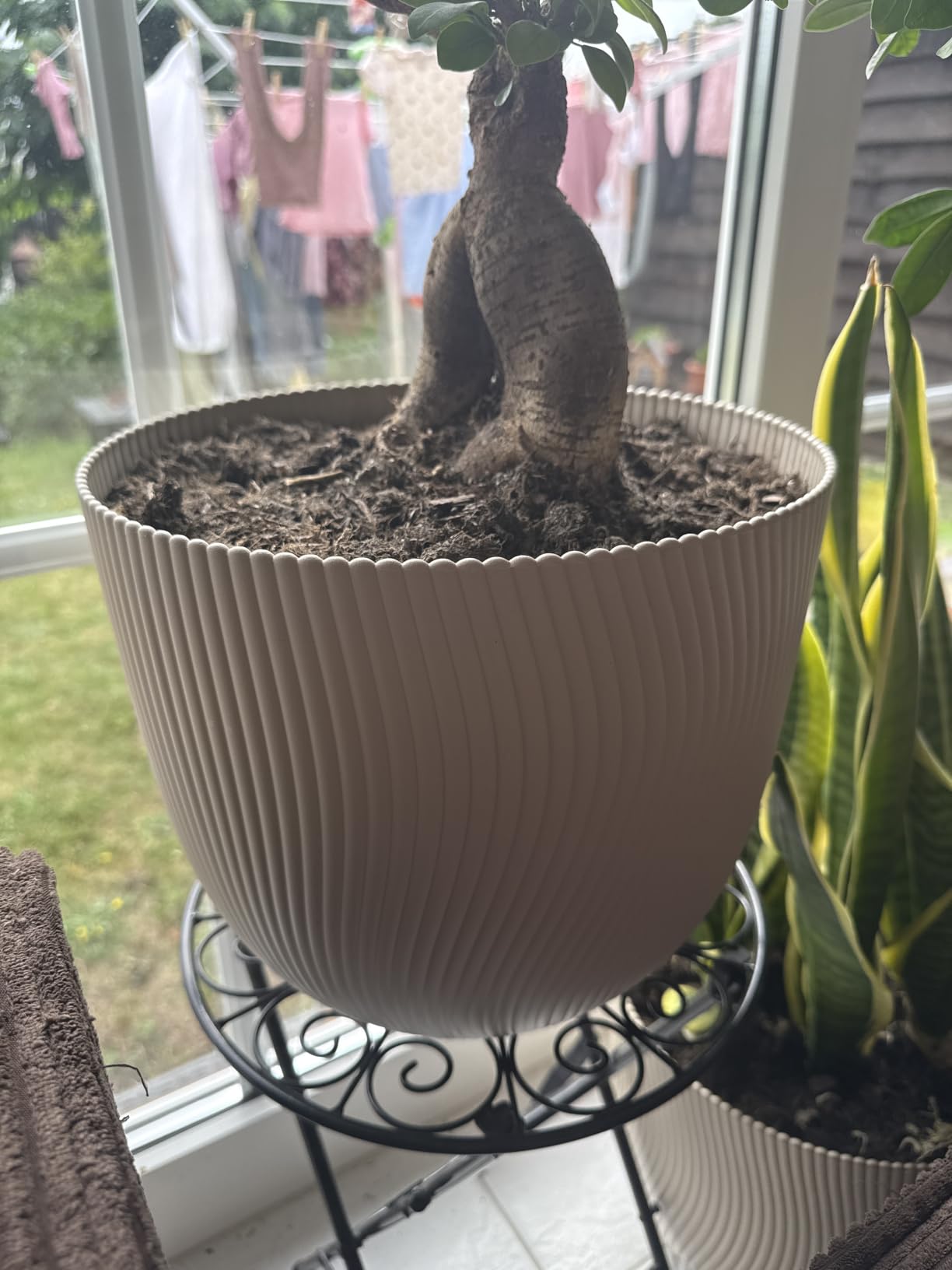 elho Sereh Rund 47 cm Blumentopf Mushroom Beige frostbeständig