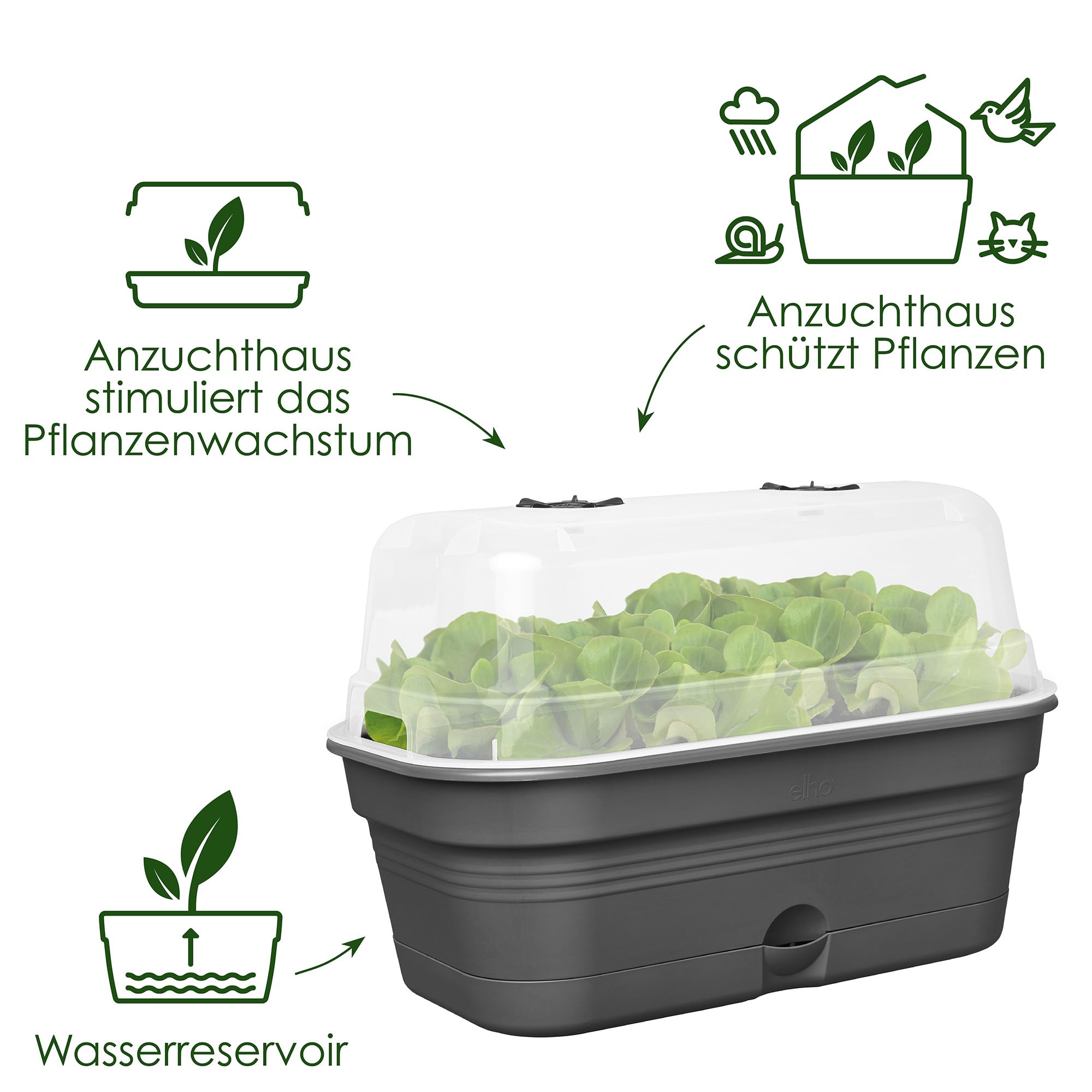 elho Green Basics Anzuchtschale M Schwarz mit Haube 32 cm