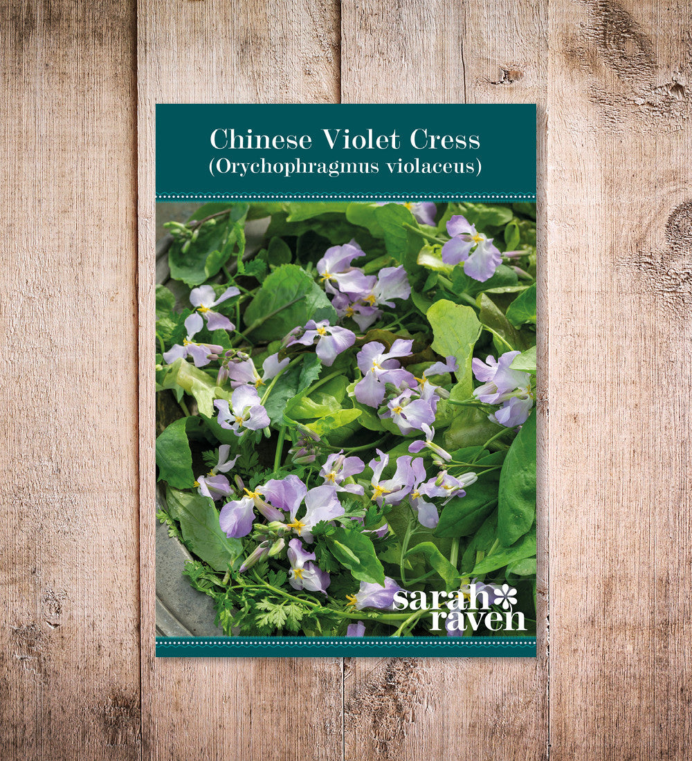 Sarah Raven Seeds Orychophragmus violaceus 200 Samen essbar