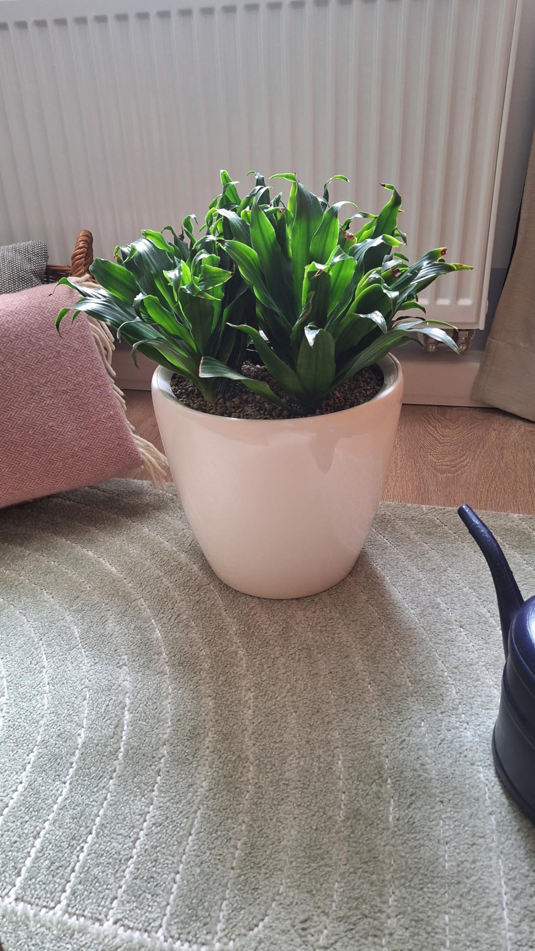 Lechuza Classico Premium LS 35 Pflanzgefäß weiß Hochglanz