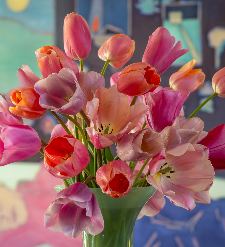 Sarah Raven Tom Hammick Tulpen 40 Zwiebeln Kollektion