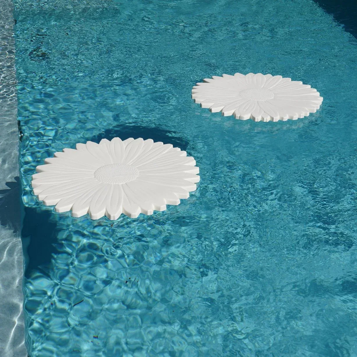 Serralunga Margarita Pooldeko weiß Blume schwimmend