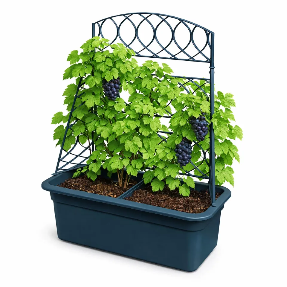 Prosperplast Ratolla Pflanzkübel Anthrazit 58x78 cm
