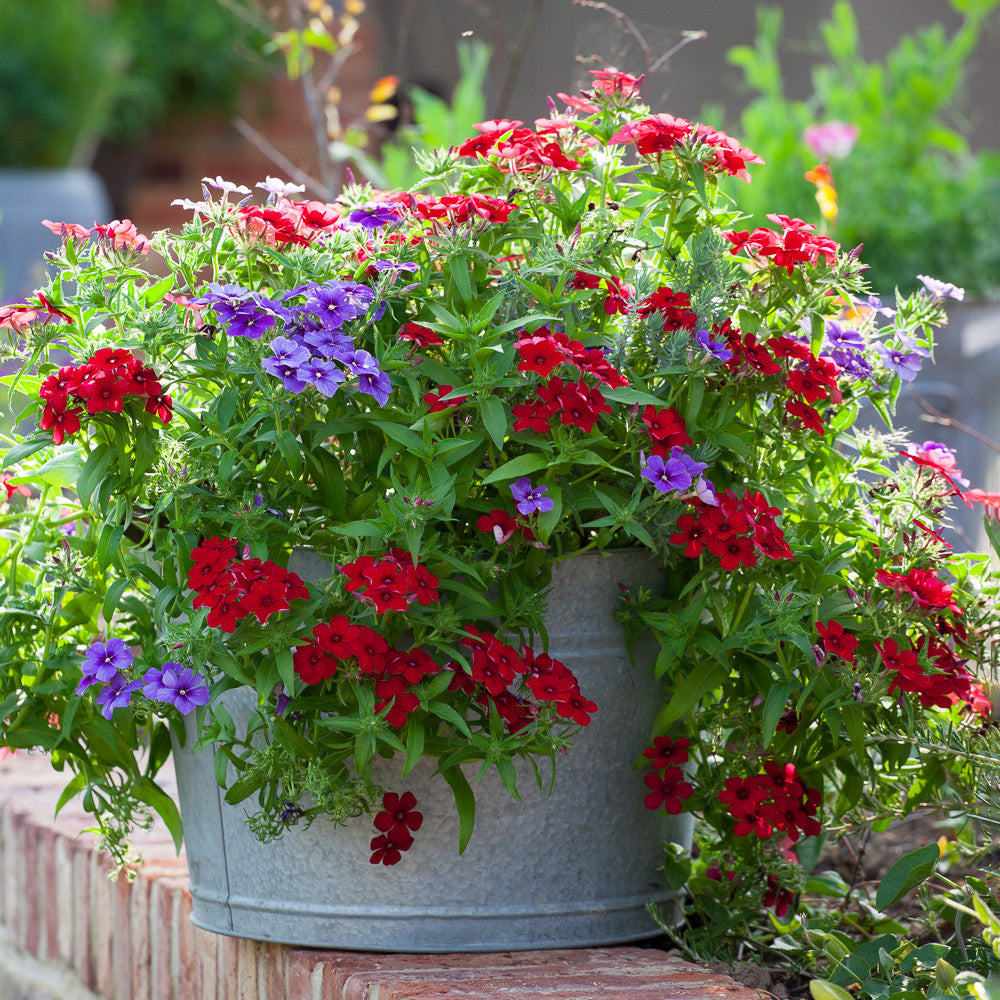 Sarah Raven Gardening Zink Pflanztopf groß 39cm für Balkon