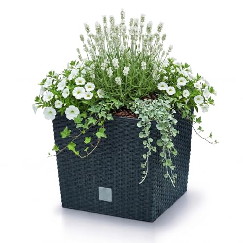 Prosperplast Rato Blumentopf anthrazit 40cm eckig mit Einsatz