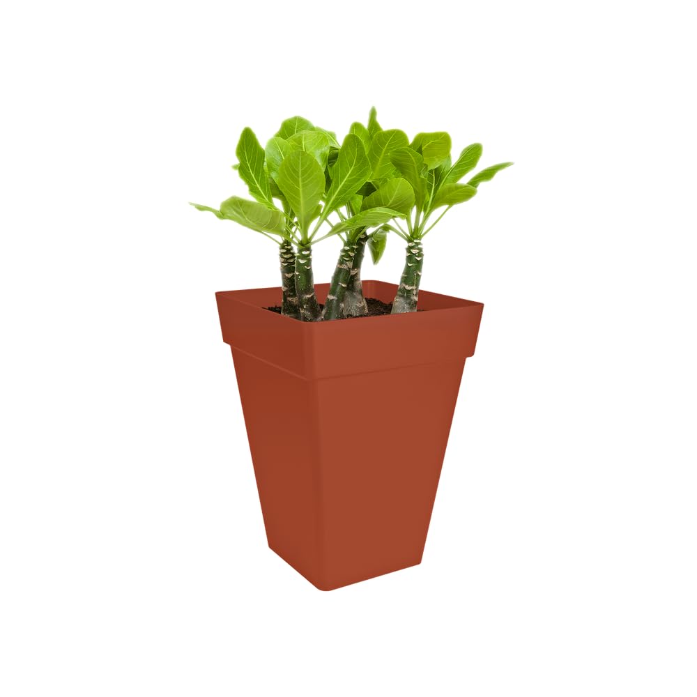 elho Loft Urban Eckig Hoch 30 Blumentopf Brique 29,5 cm