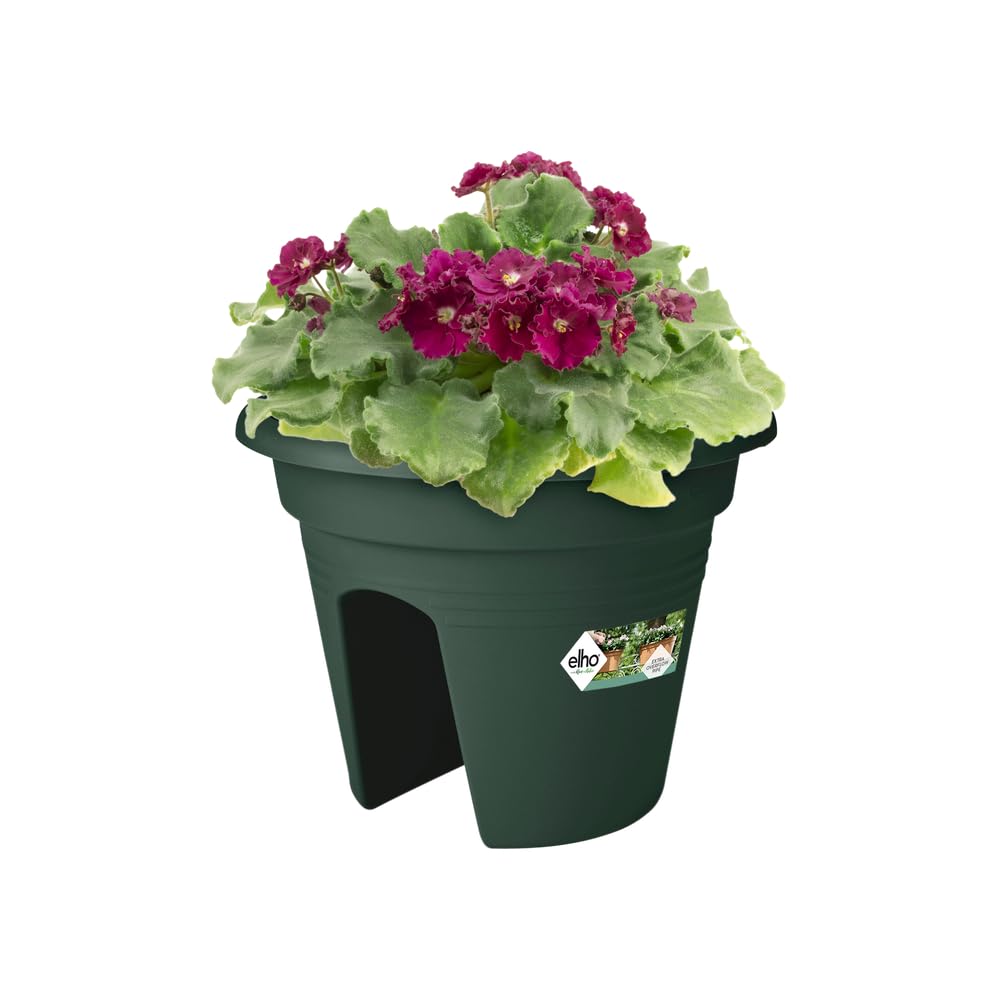 elho Green Basics Flower Bridge Balkonkasten 30 laubgrün