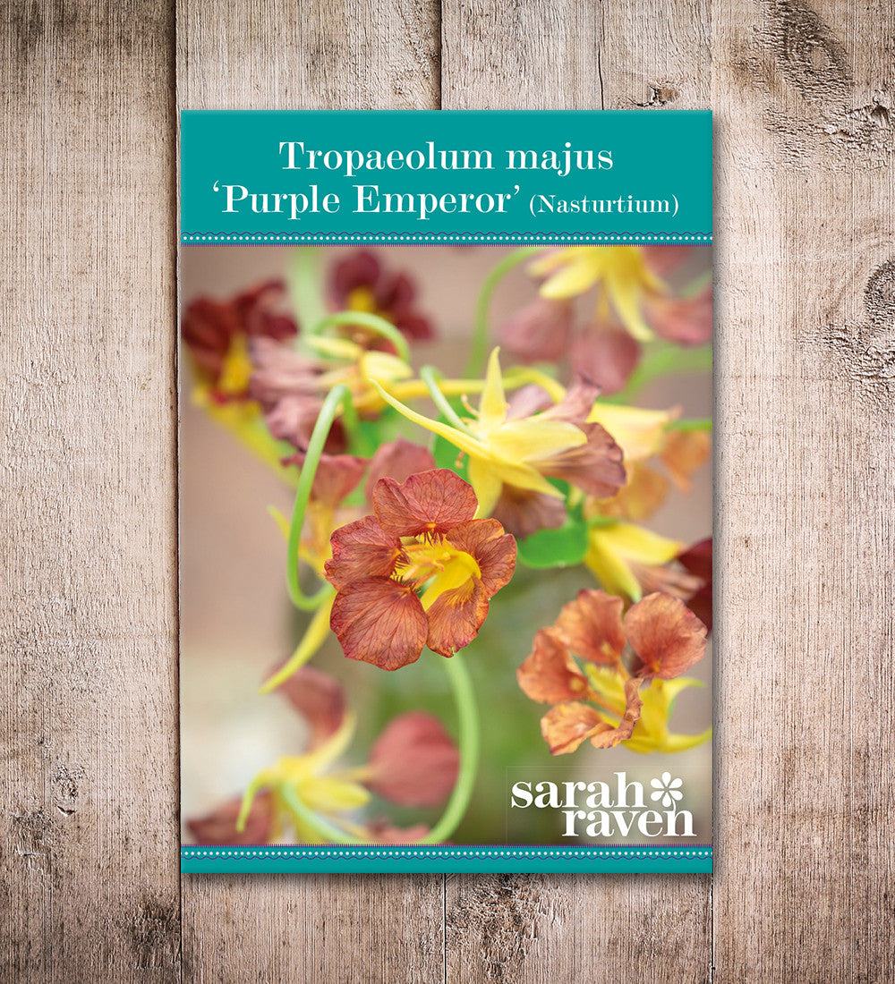Sarah Raven Seeds Kapuzinerkresse Purple Emperor Samen 30 Samen