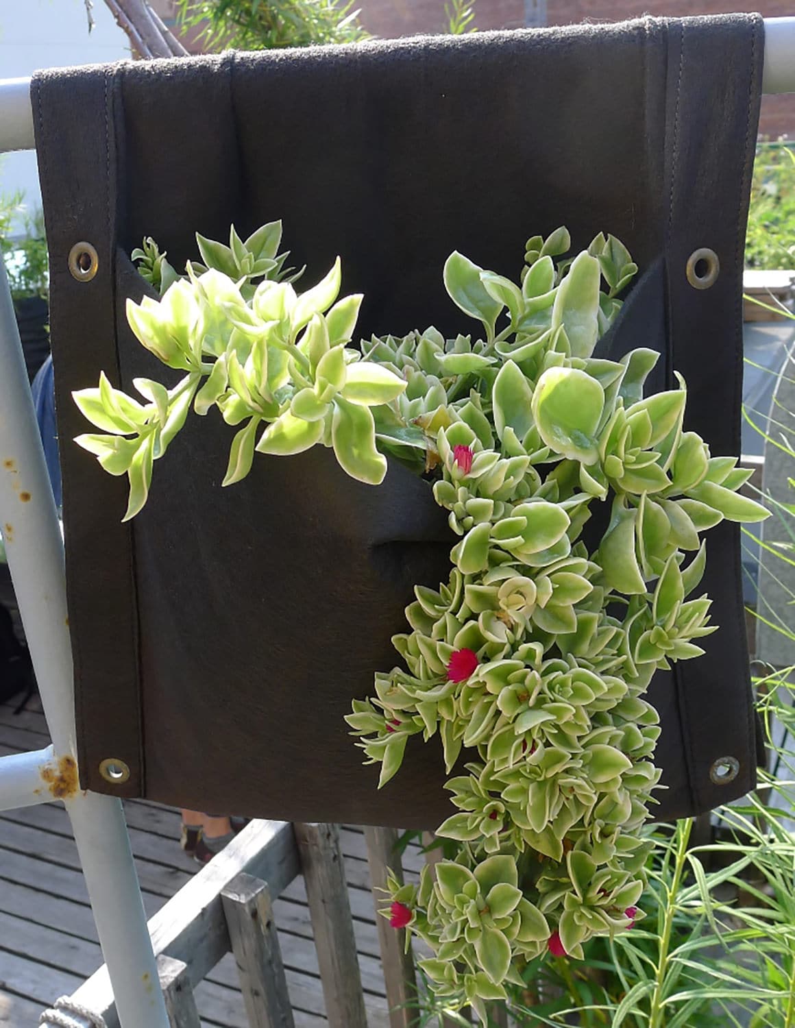 Smart Pot Wall Flower Saddle Pflanztopf wetterfest 3 Gallonen