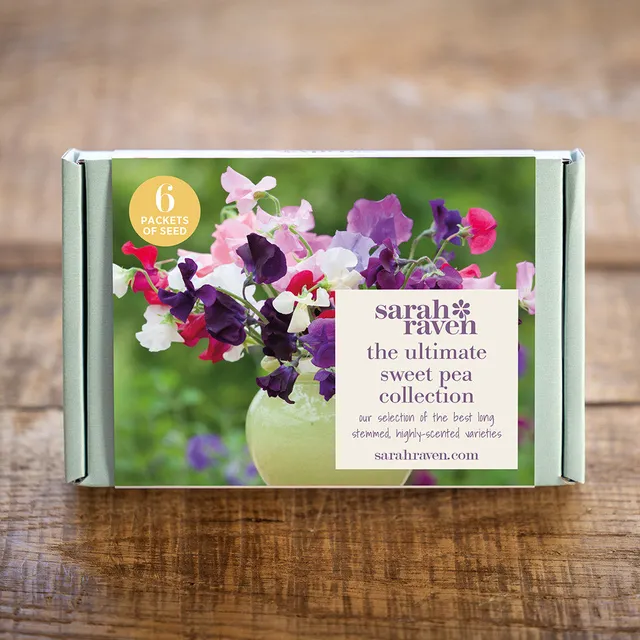 Sarah Raven Sweet Pea Samen Geschenkbox 6 Tüten Duft