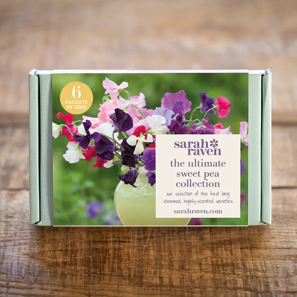 Sarah Raven Sweet Pea Samen Geschenkbox 6 Tüten Duft