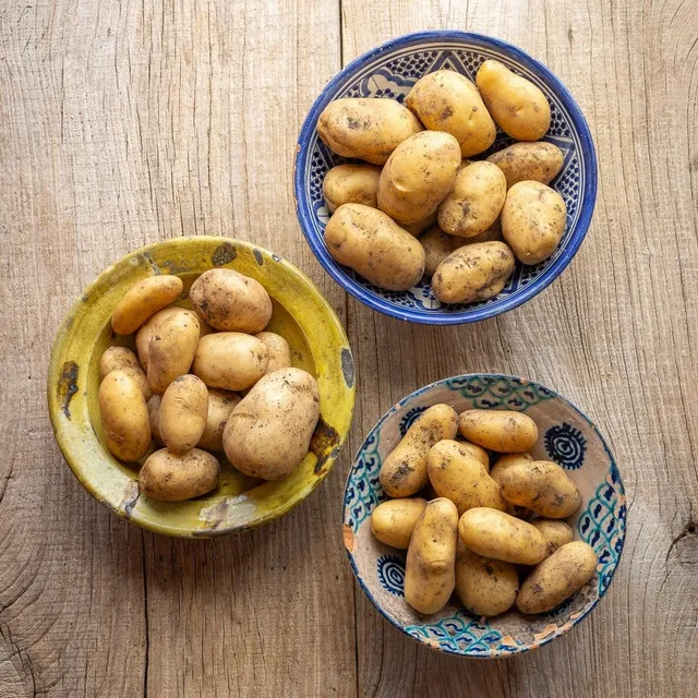 Sarah Raven Plants Salatkartoffeln Set Saatkartoffeln 3x 1 kg wachsartig
